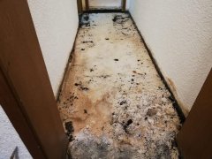 leistungen-bild-5.jpg