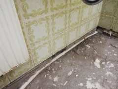 leistungen-bild-8.jpg